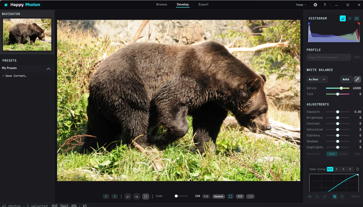 Happy Photon Develop showing a bear photograph with presets, histogram, tone curve, and focused adjustment controls