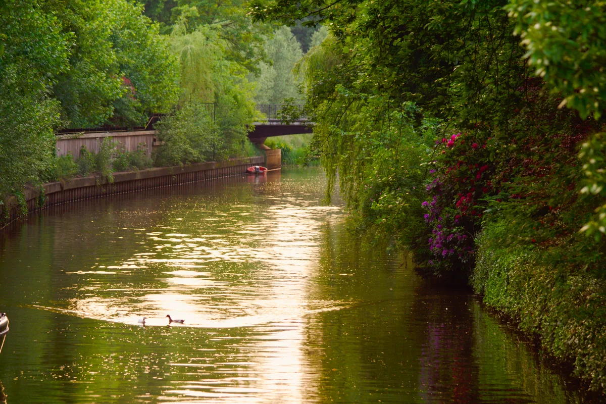 A tree-lined canal at dusk, developed with lifted shadows and warm reflected light on the water